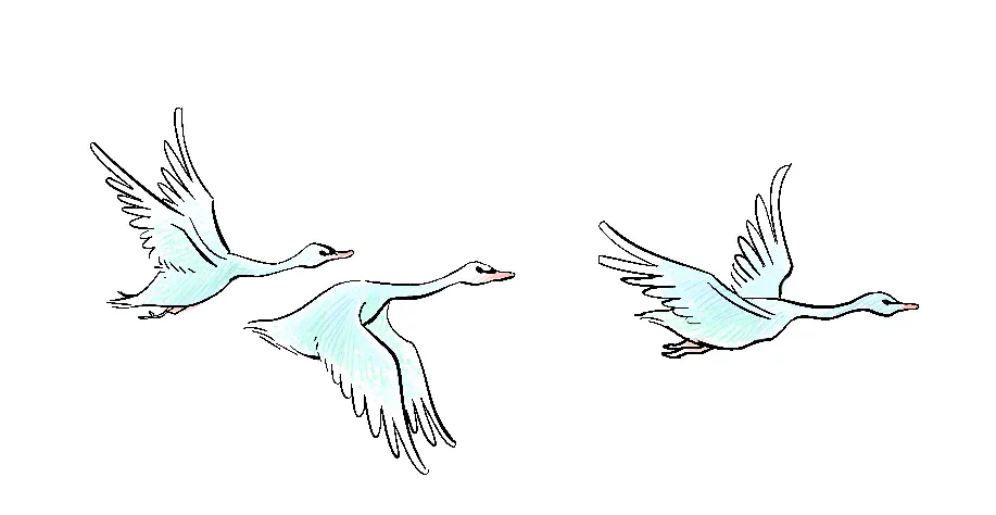 Trois cygnes en vol — aquarelle bleutée de Sana Hosseinpour